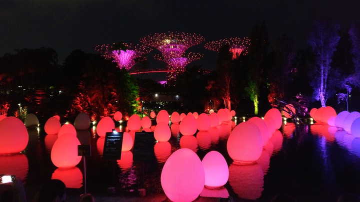 lights