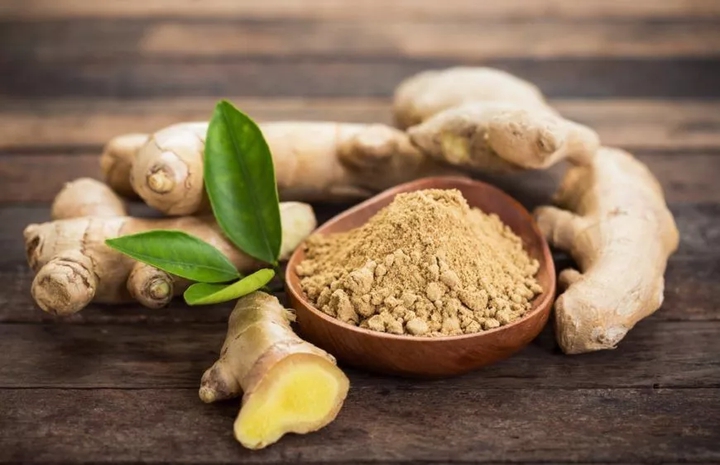 Zingiber officinale