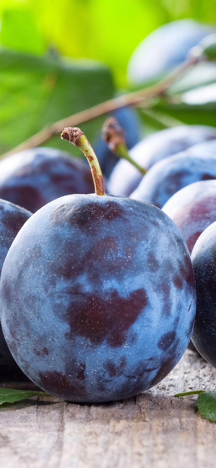 berry