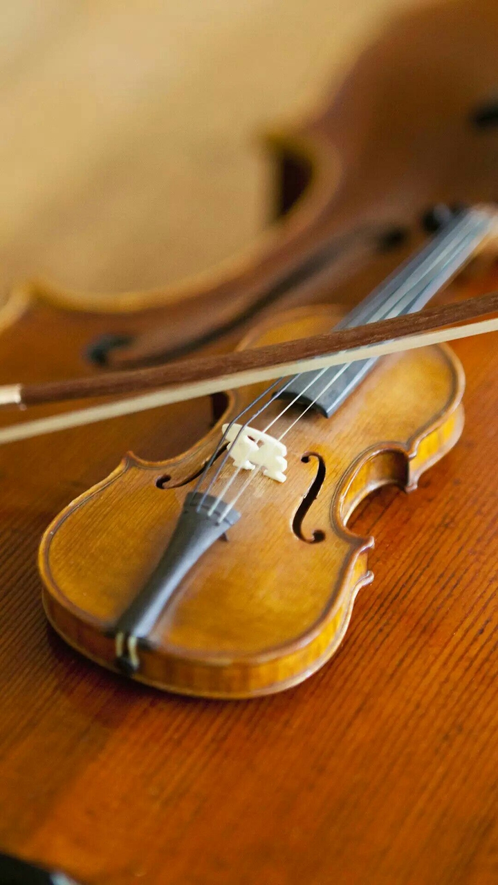 violin