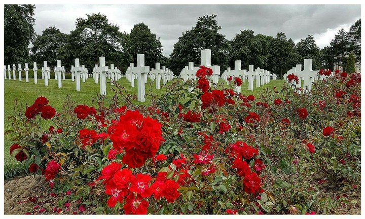 WWII American Cemetery, France