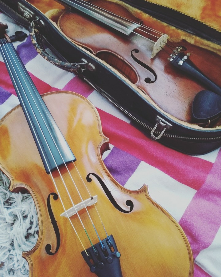 Violin