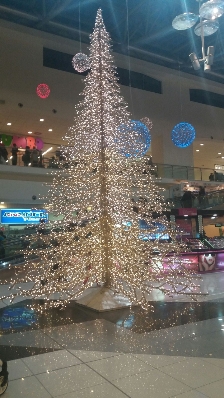 Giant Christmas Tree