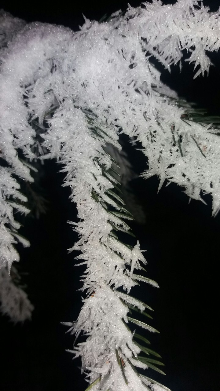 winter