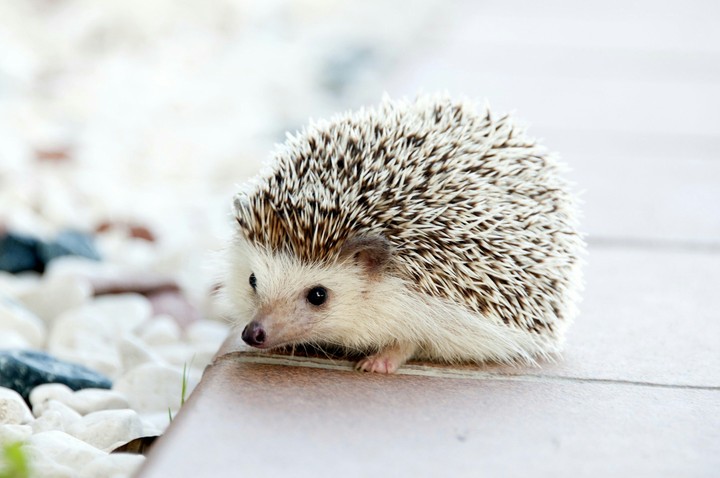 isn't beautiful????