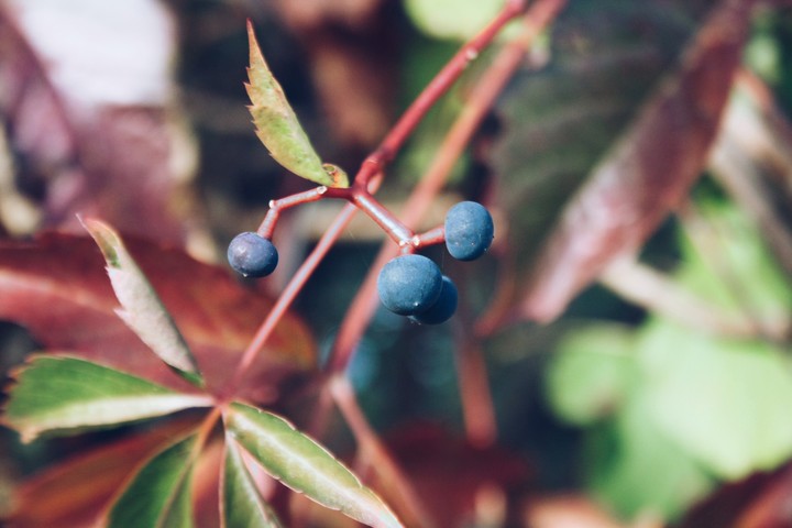 October