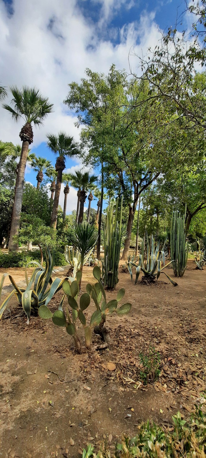 Beautiful garden