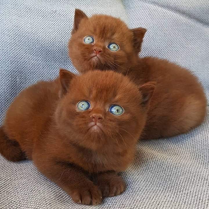 so cute
