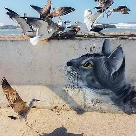 Essaouira City