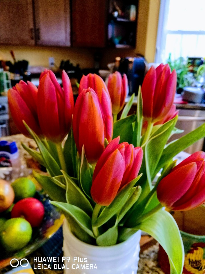 in the kitchen