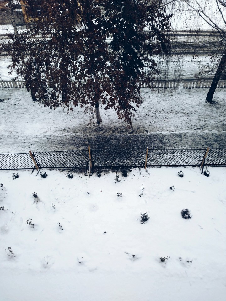 Зима