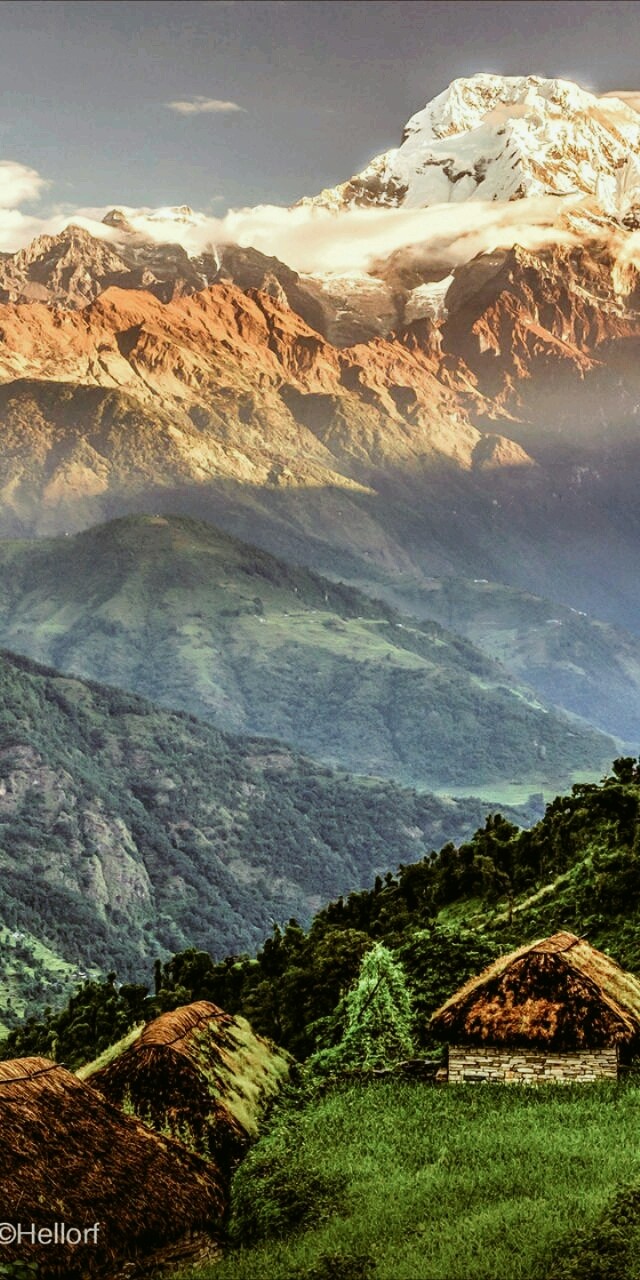 Nature
