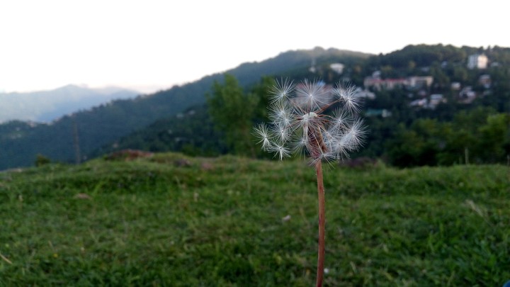 Nature