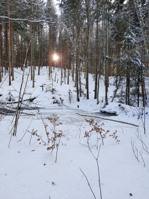 Lake in the forest of Rothenstein