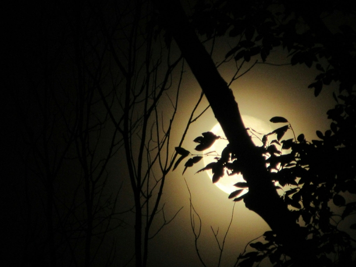 Supermoon 2016-2