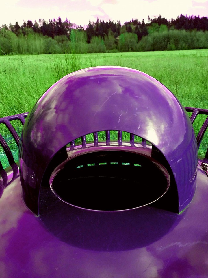 purple purpose