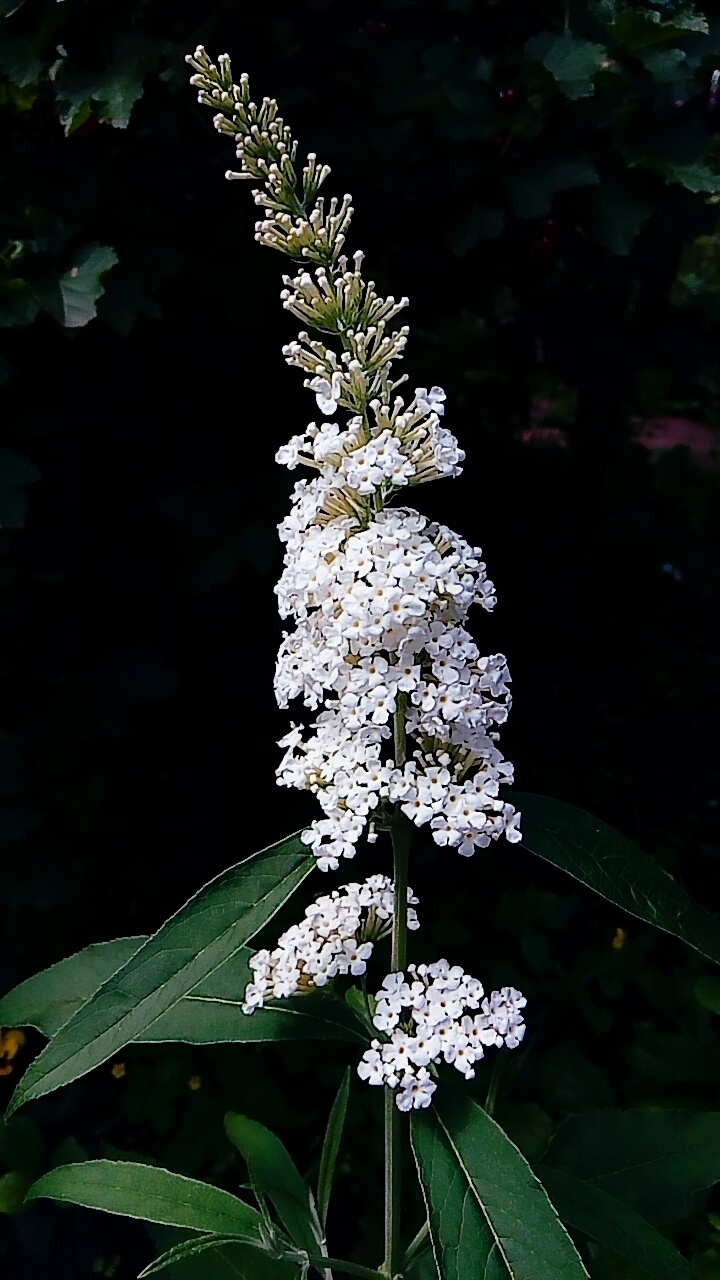 Красивенько