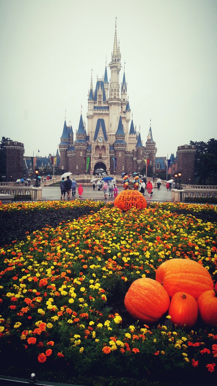 Disneyland#castle#flowers