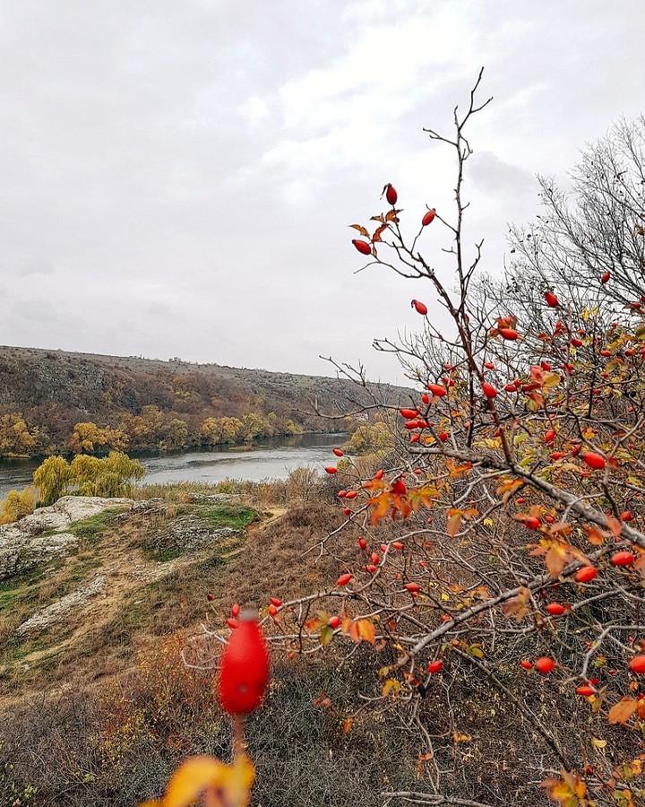 autumn