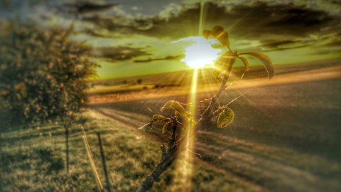 country side