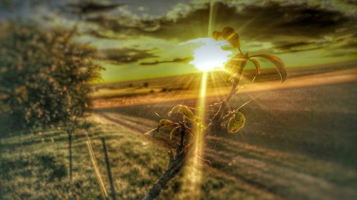 country side