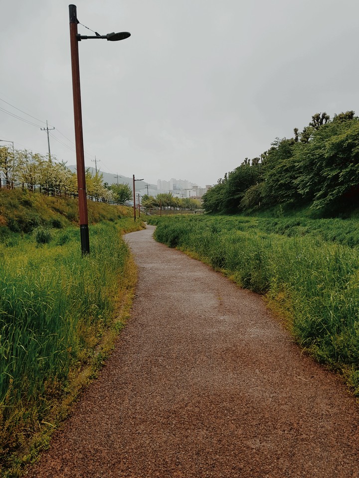 on a rainy day's walk
