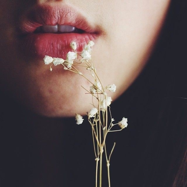 beijos