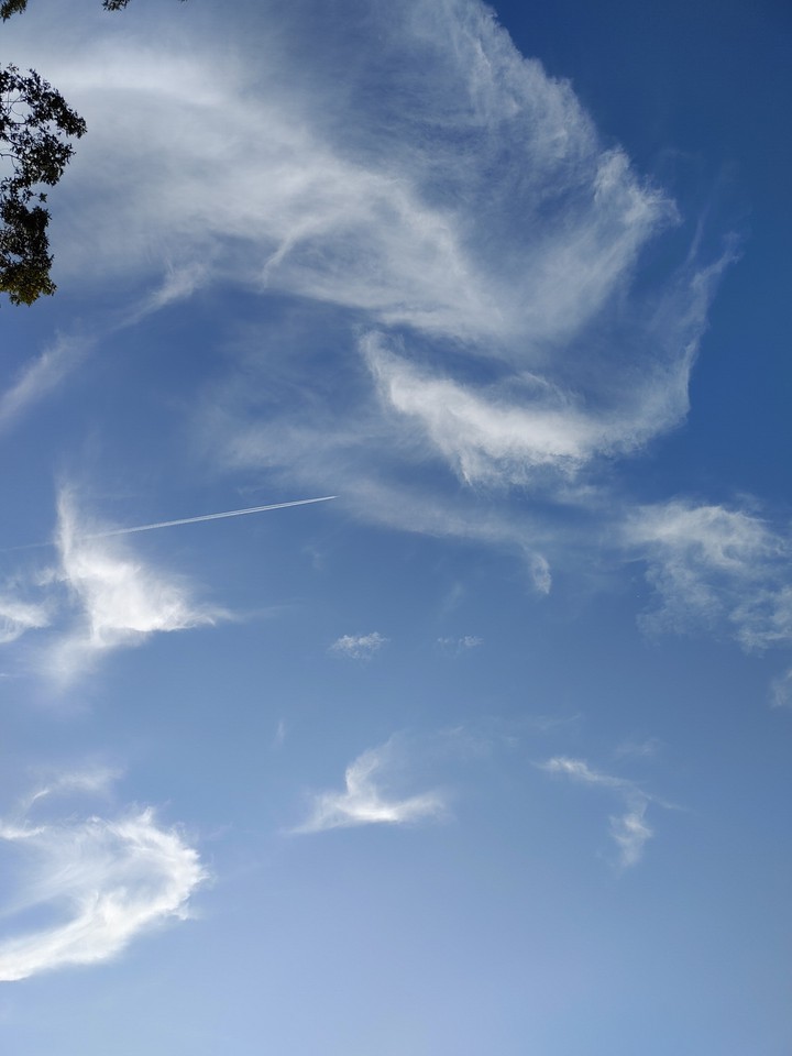 Sky (airplane)