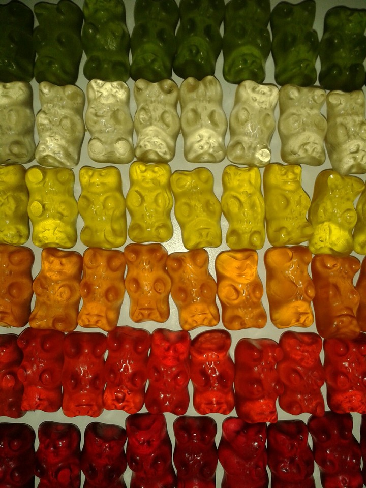 Bear