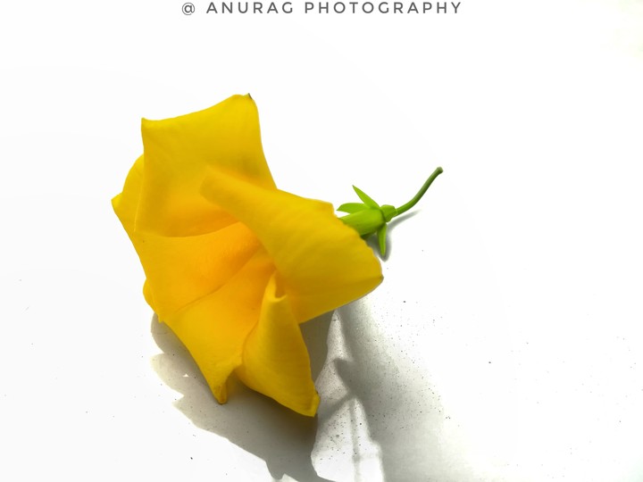 wallpaper photography