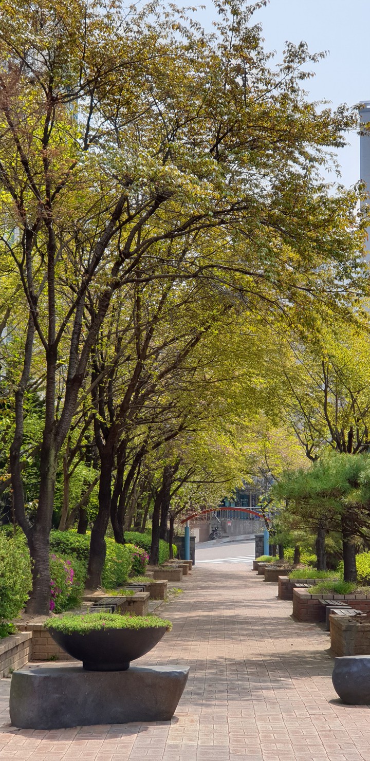 풍경
