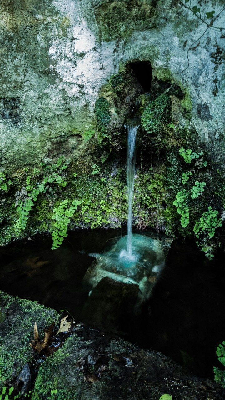 16 century fountain deep in the woods
