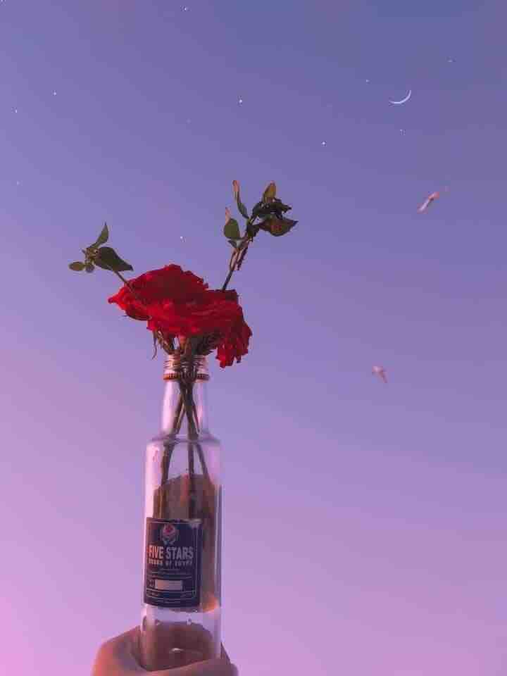 A flower, and the moon