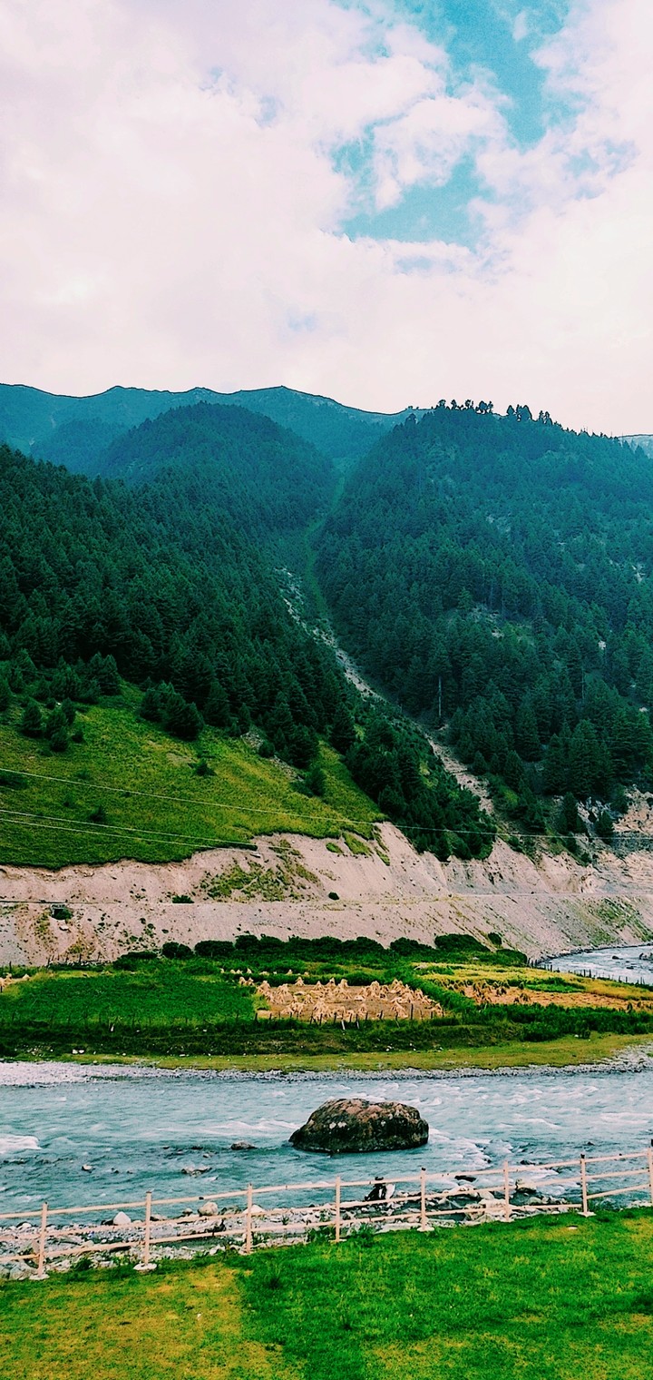 kashmir