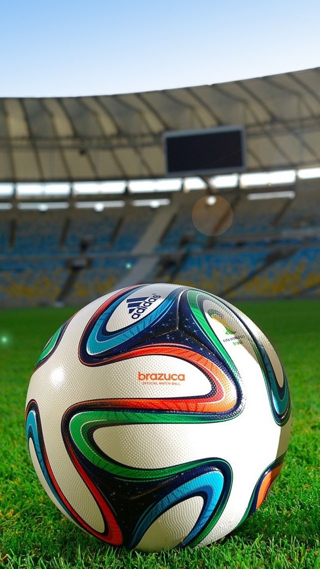 FIFA World Cup Brasil