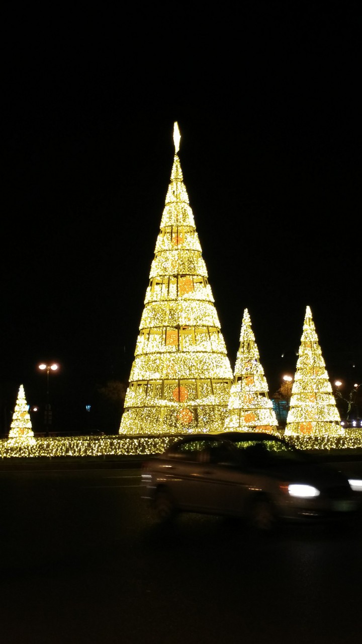 ёлки/tree