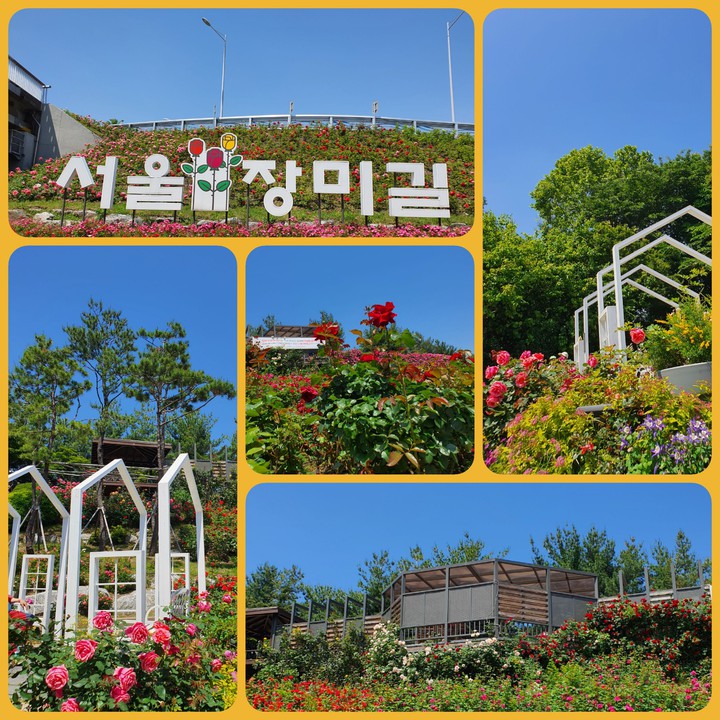장미길