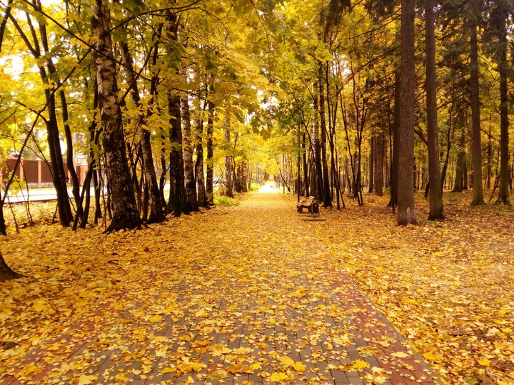осень