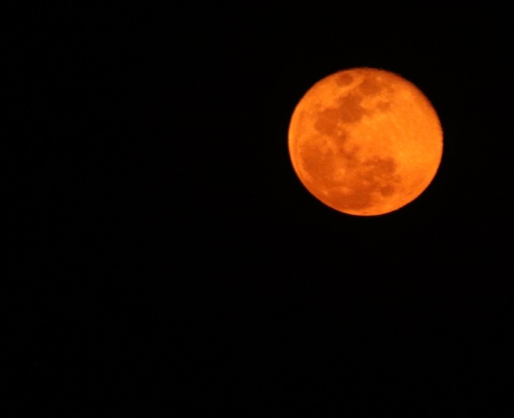 THE RED MOON