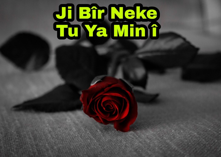 Evîn