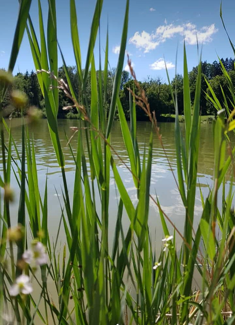 Summer