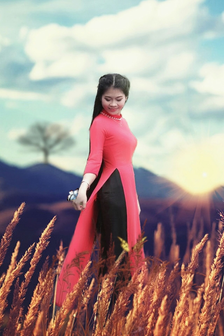 Ao dai vietnamese