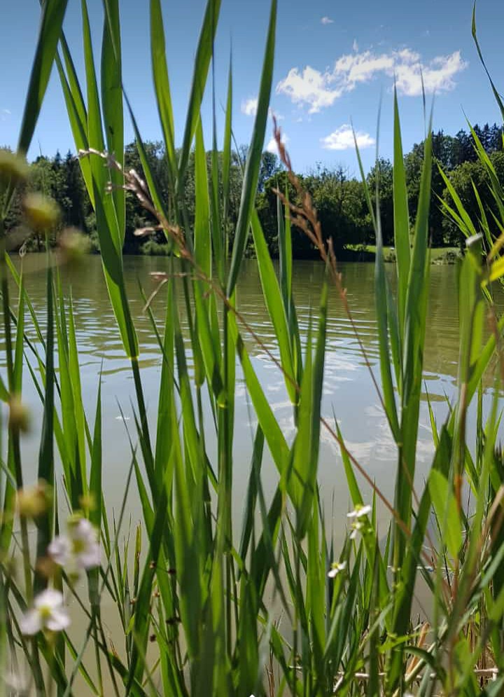 Summer