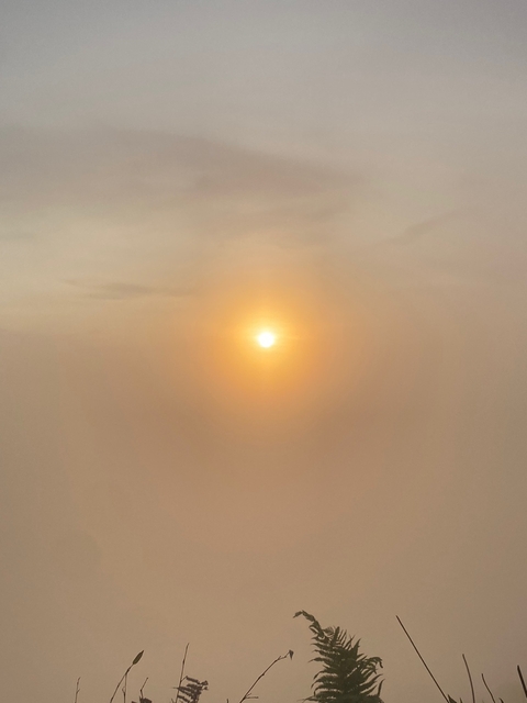 ταπετσαρίες sunrise, afterglow