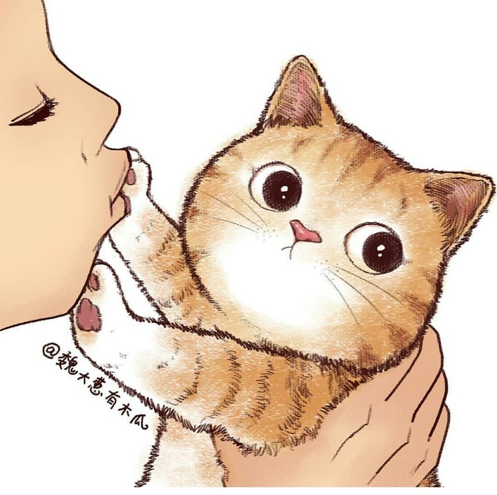 kitty?