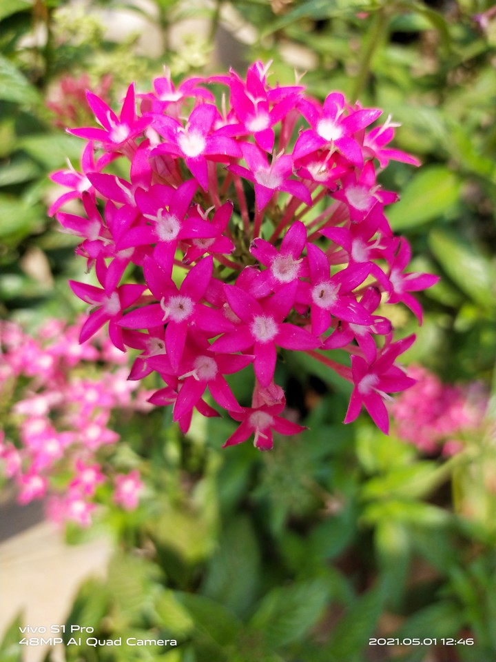 my click