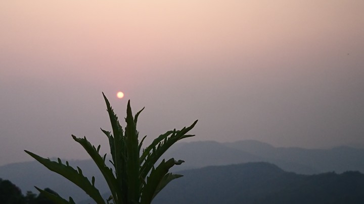 Little Sun, Big Plant and Mountain