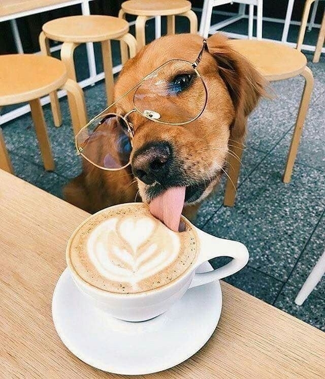 latte art