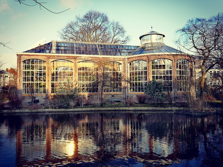 botanical garden