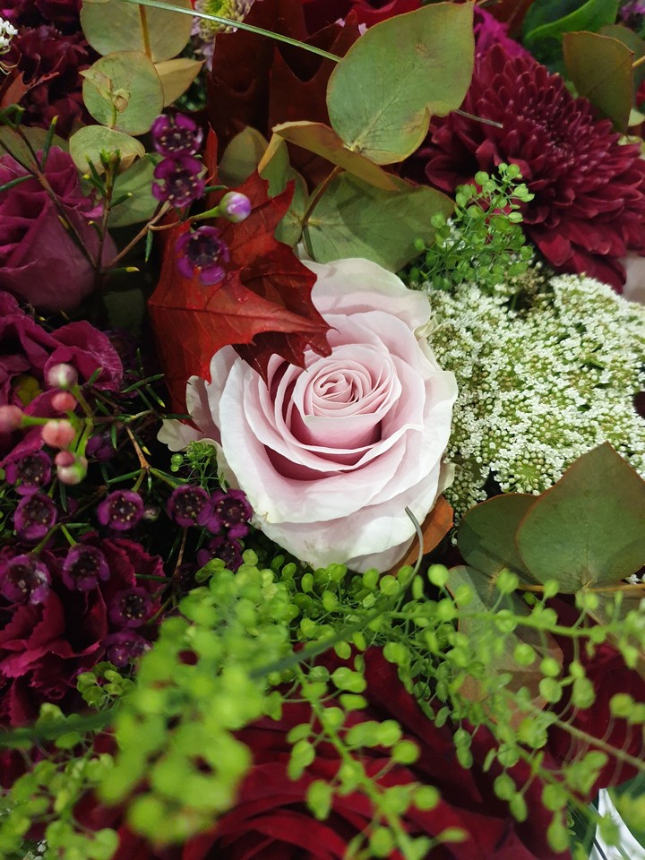 Rose & rose